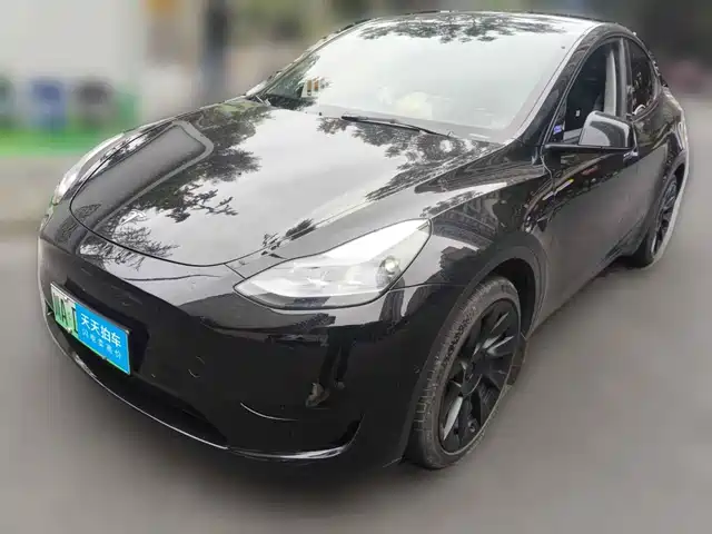 Tesla Model Y 2022 Rear-Wheel Drive Version — фото 1
