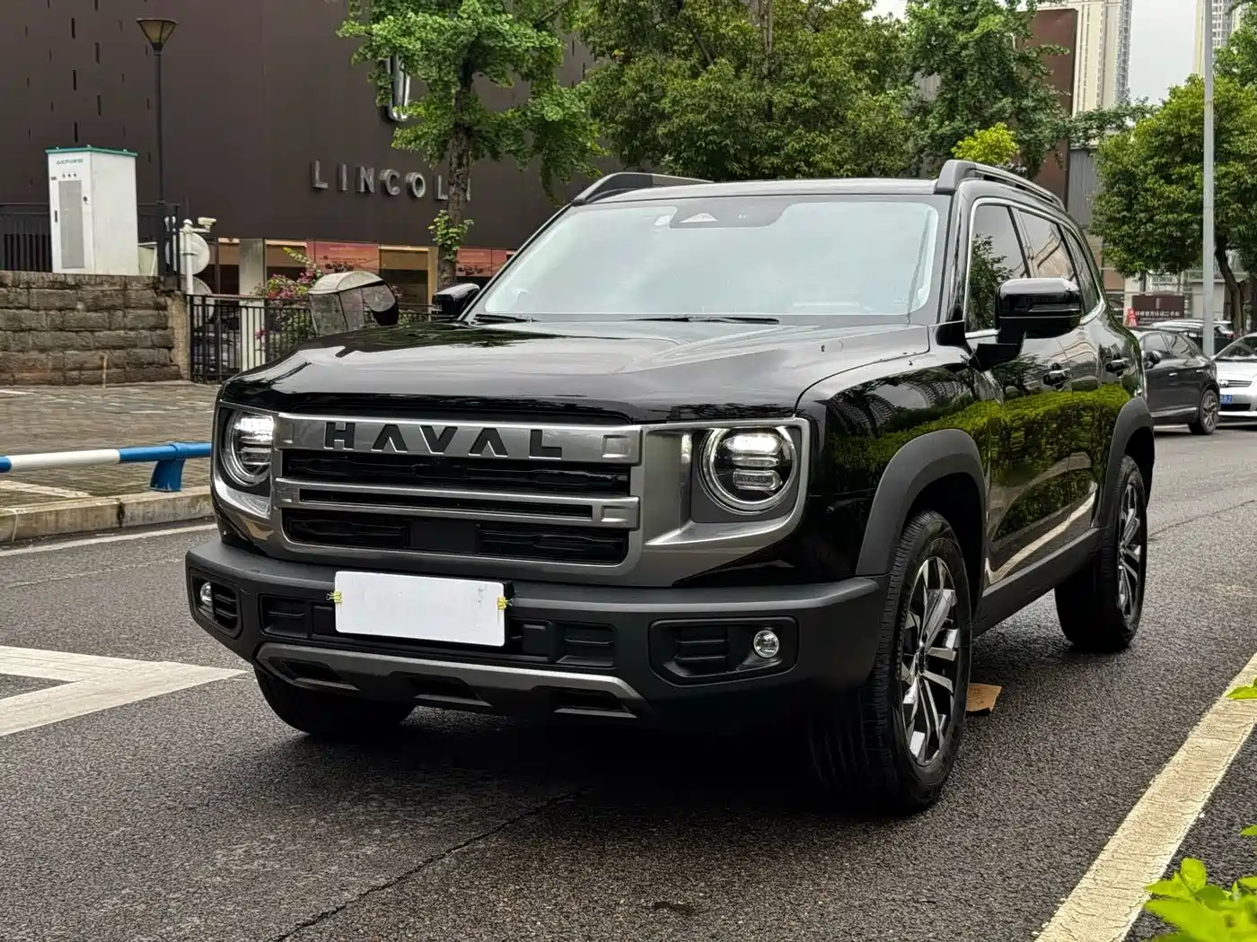 Haval Big Dog 2024 1.5T DCT Border Collie Edition