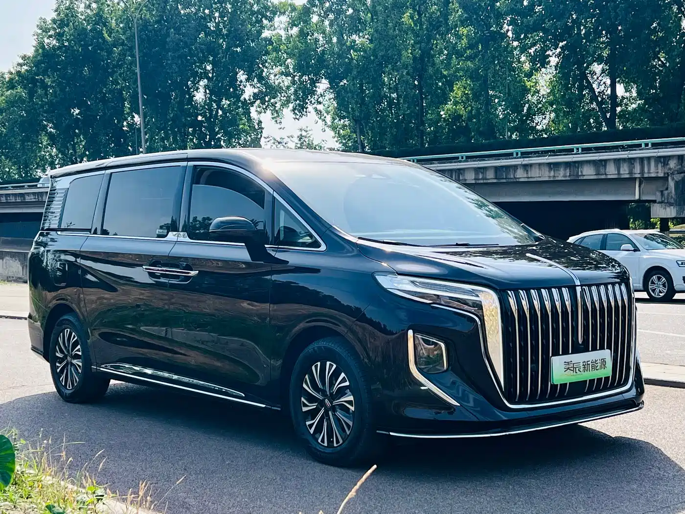 Hongqi HQ9 PHEV 2024 2024 Model 2.0T AWD Luxury Edition