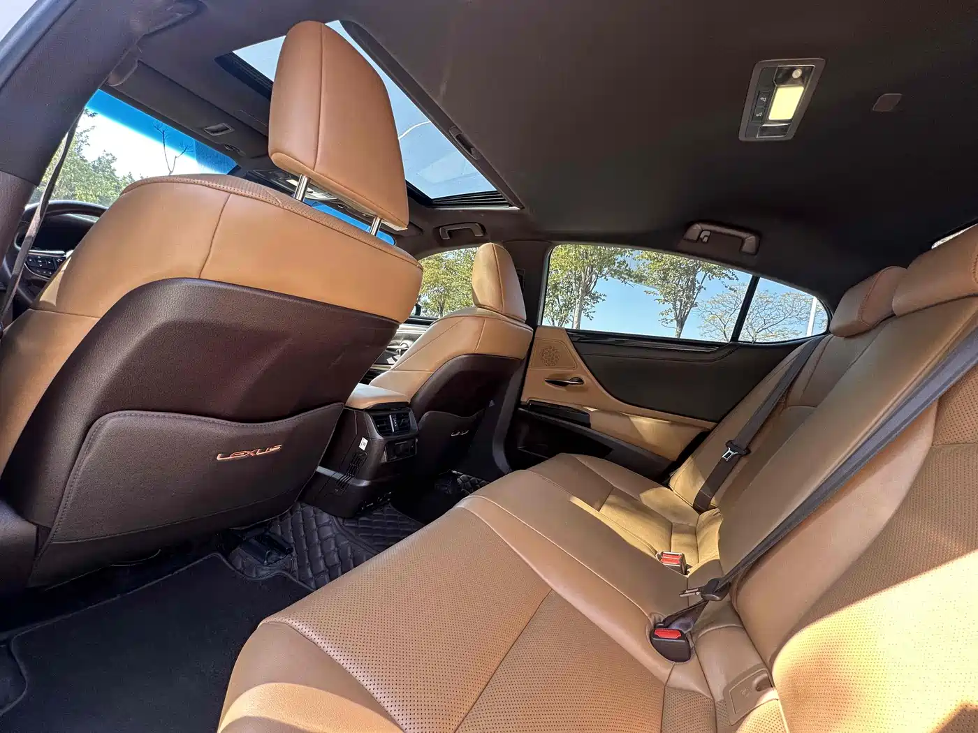 Lexus ES 2020 200 Excellence фото 8