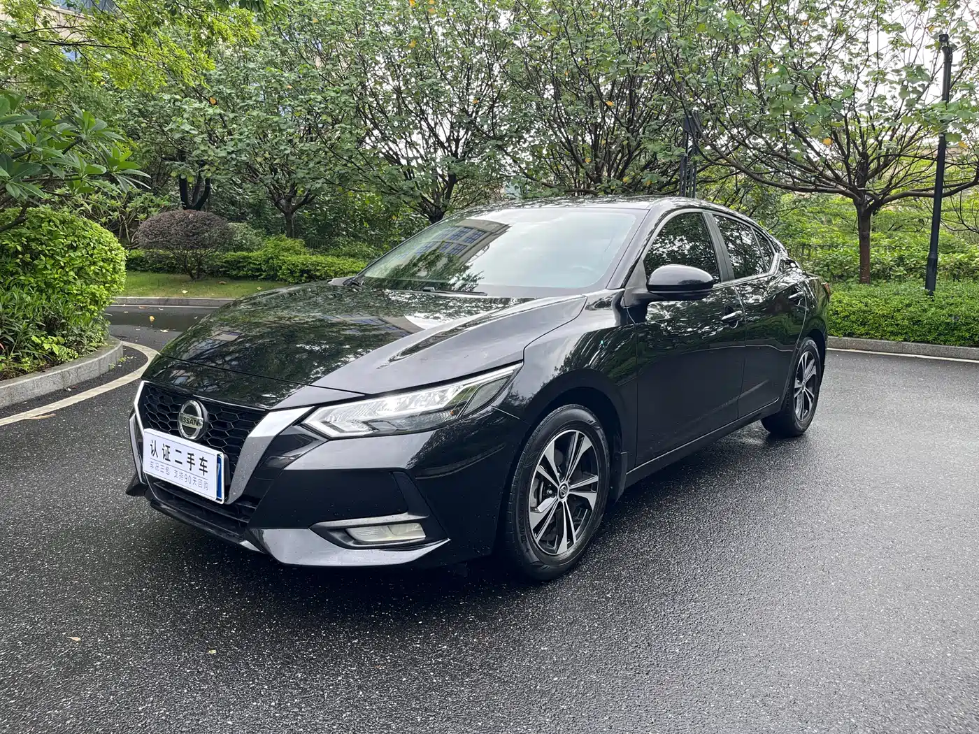 Фото 1 - Nissan Sylphy