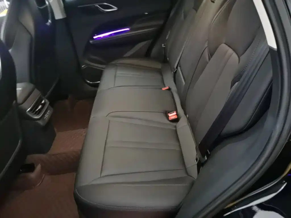 Hongqi HS3 PHEV 2025 2024 PHEV 115km Power Edition