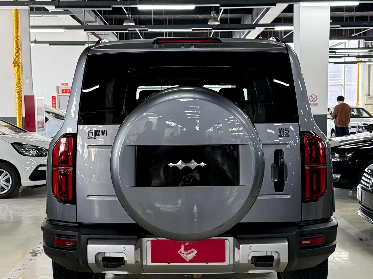 FANG CHENG BAO LEOPARD 5