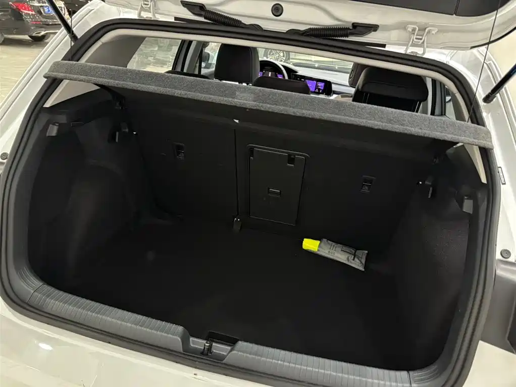 Volkswagen Golf 2021 280TSI DSG Pro фото 4