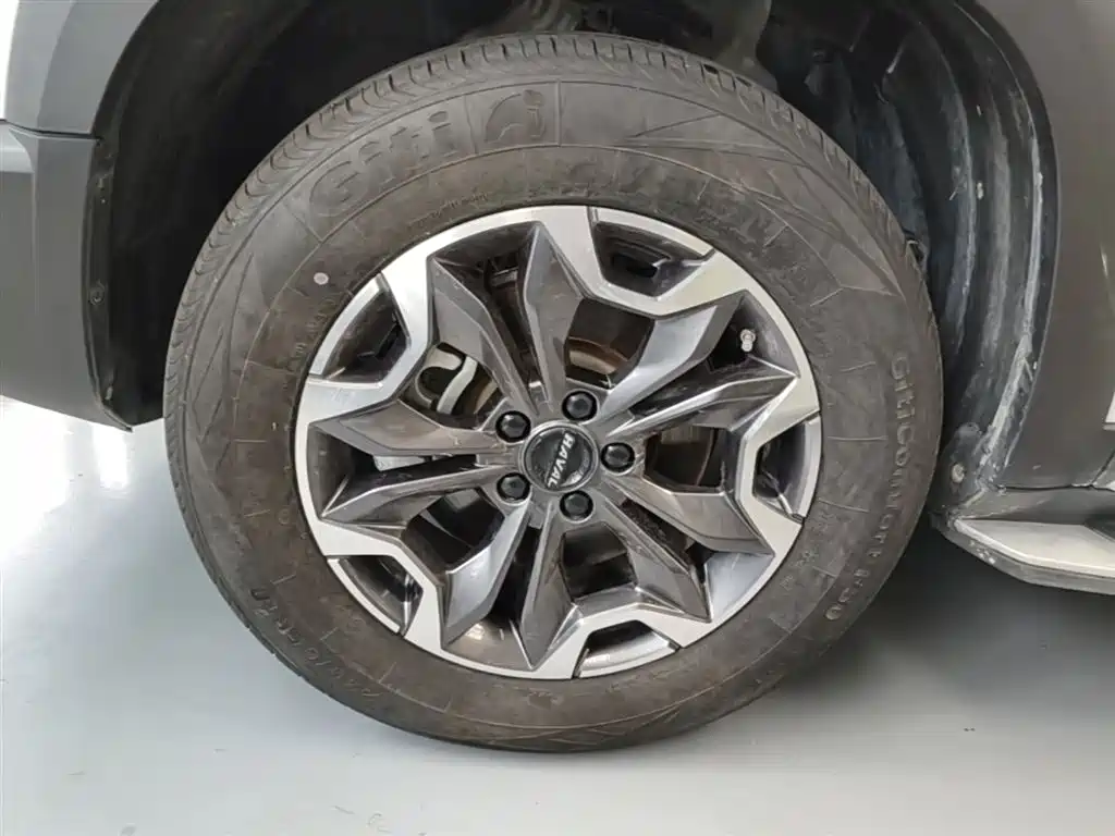 Haval Big Dog 2022 2.0T DCT AWD Chinese Pastoral Dog Edition фото 23