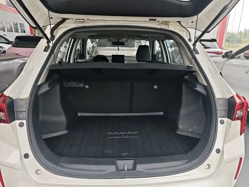 Venucia T60EV 2024 2023 Smooth Ride Edition