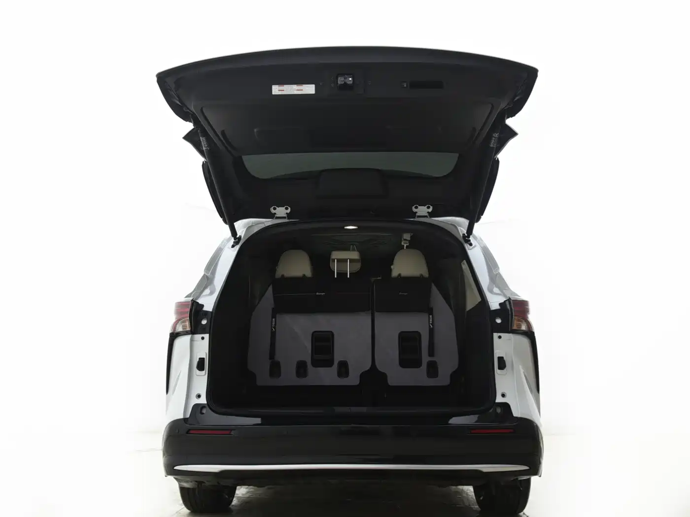 Toyota Sienna 2024 2.5L Hybrid 4WD Premium Edition фото 13
