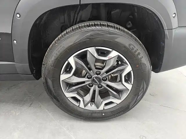 HAVAL BIG DOG