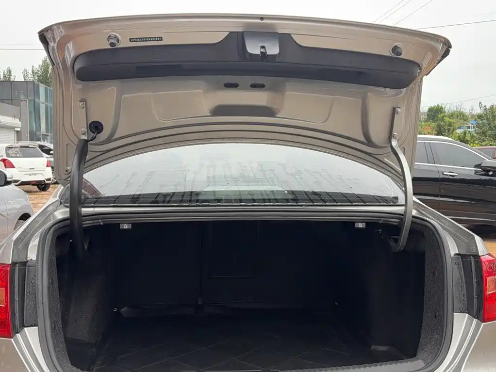 Photo 9 - Volkswagen Sagitar