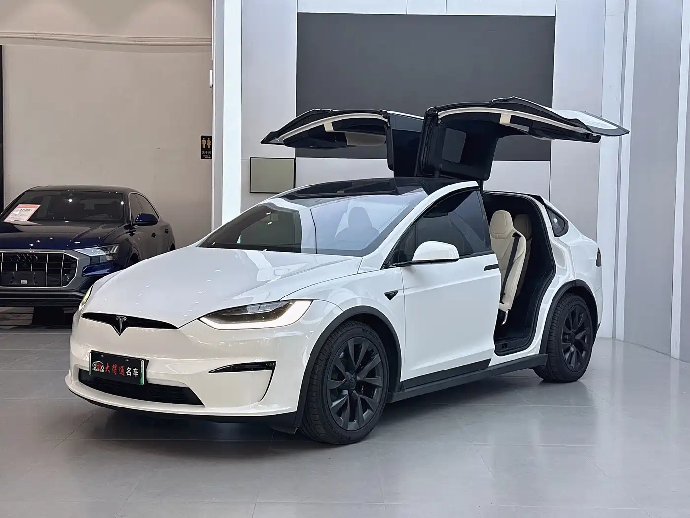 Tesla Model X 2023 2023 Dual Motor All-Wheel Drive Edition