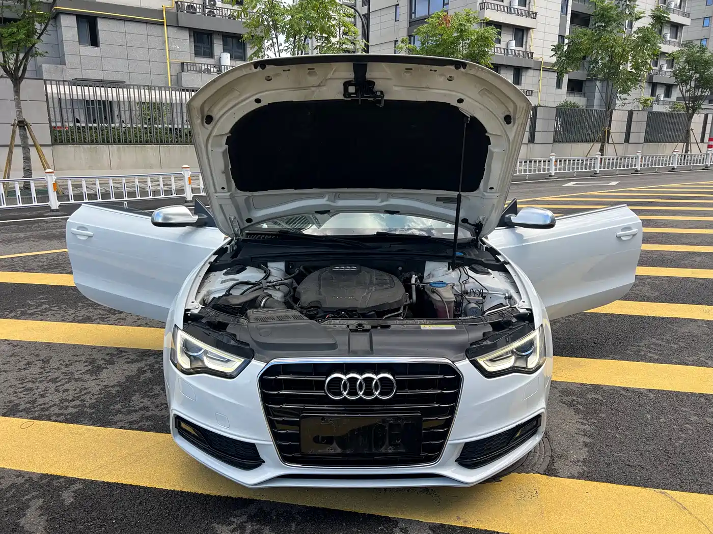 Фото 11 - Audi A5 (Import)