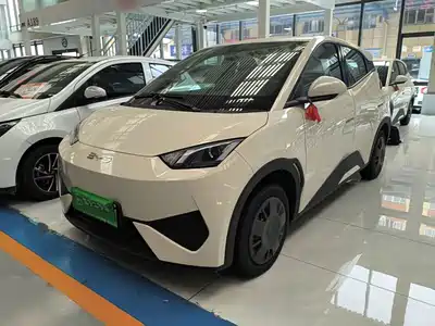 BYD Seagull