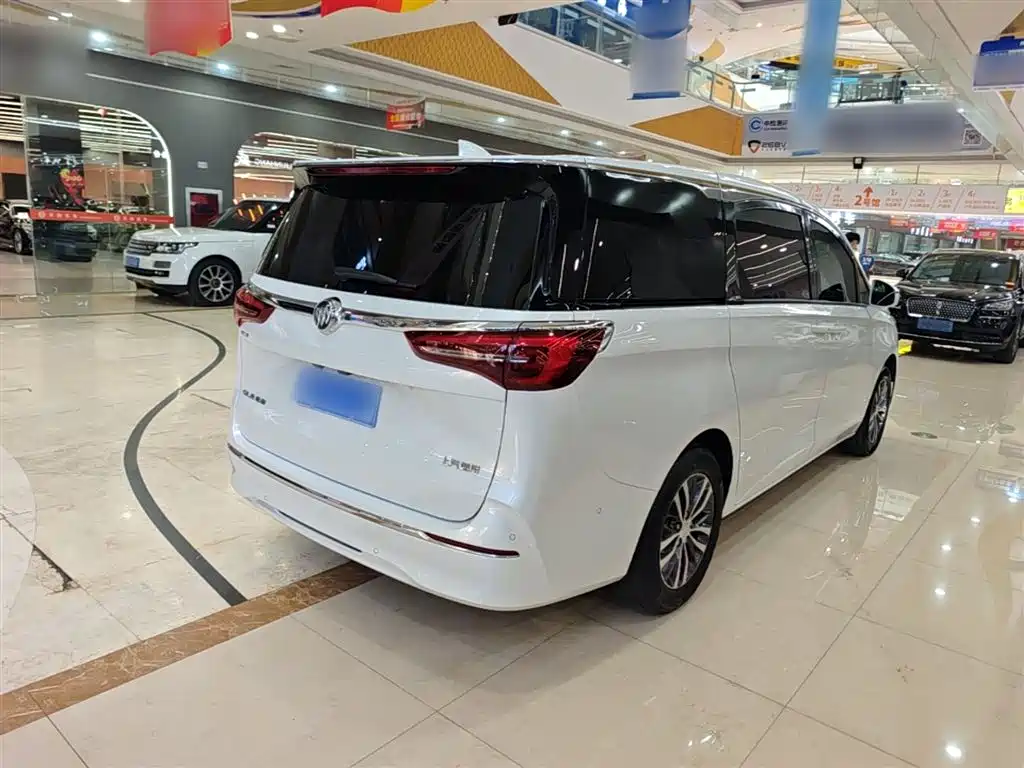Buick GL8 2022 ES Landmark 653T Premium фото 7
