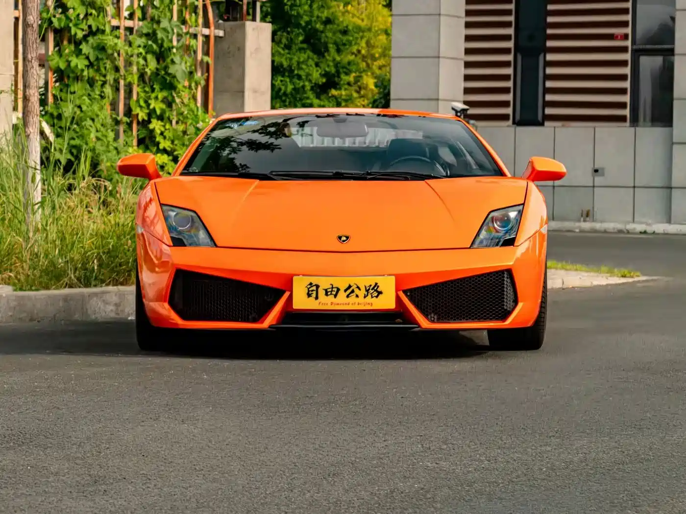 Photo 3 - Lamborghini Gallardo