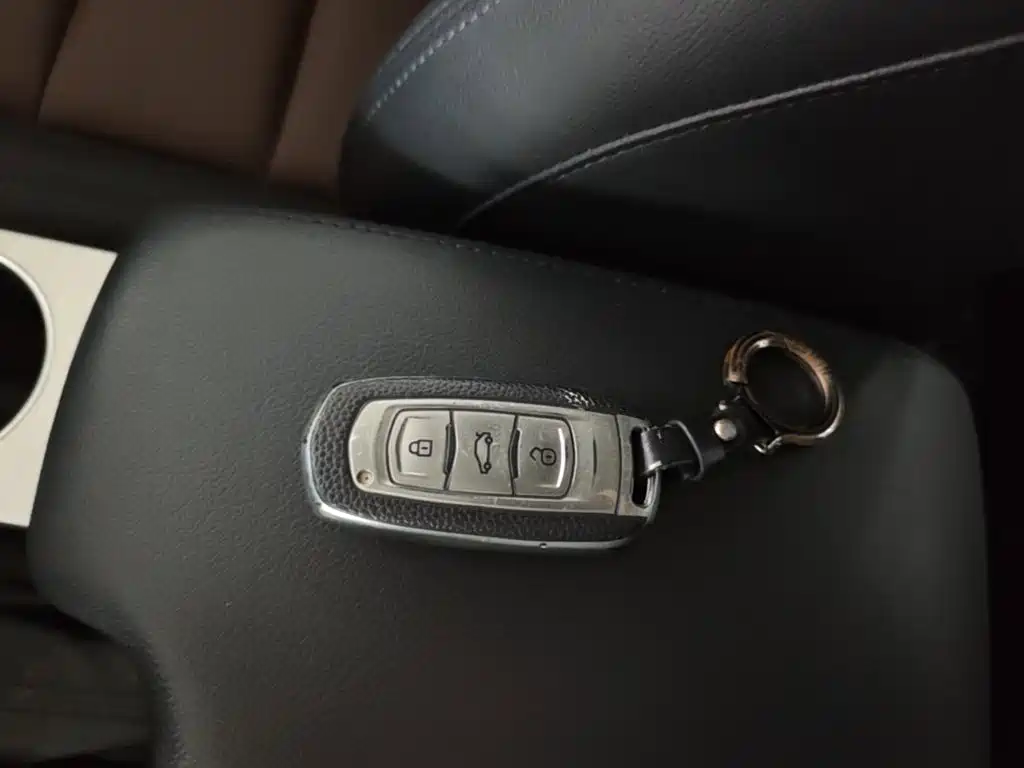 Фото 9 - Geely Vision