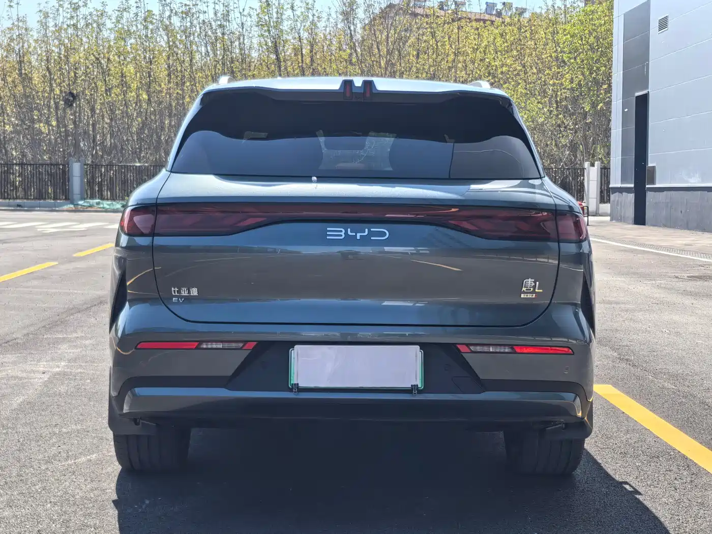 BYD TANG L