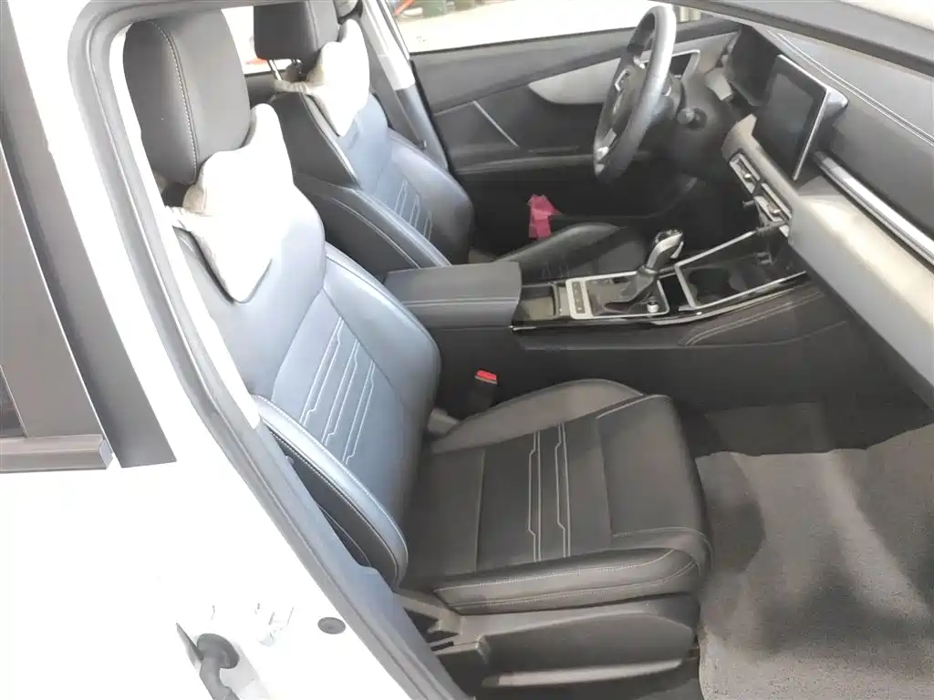 BYD Qin 2019 1.5L Automatic Luxury Edition фото 19