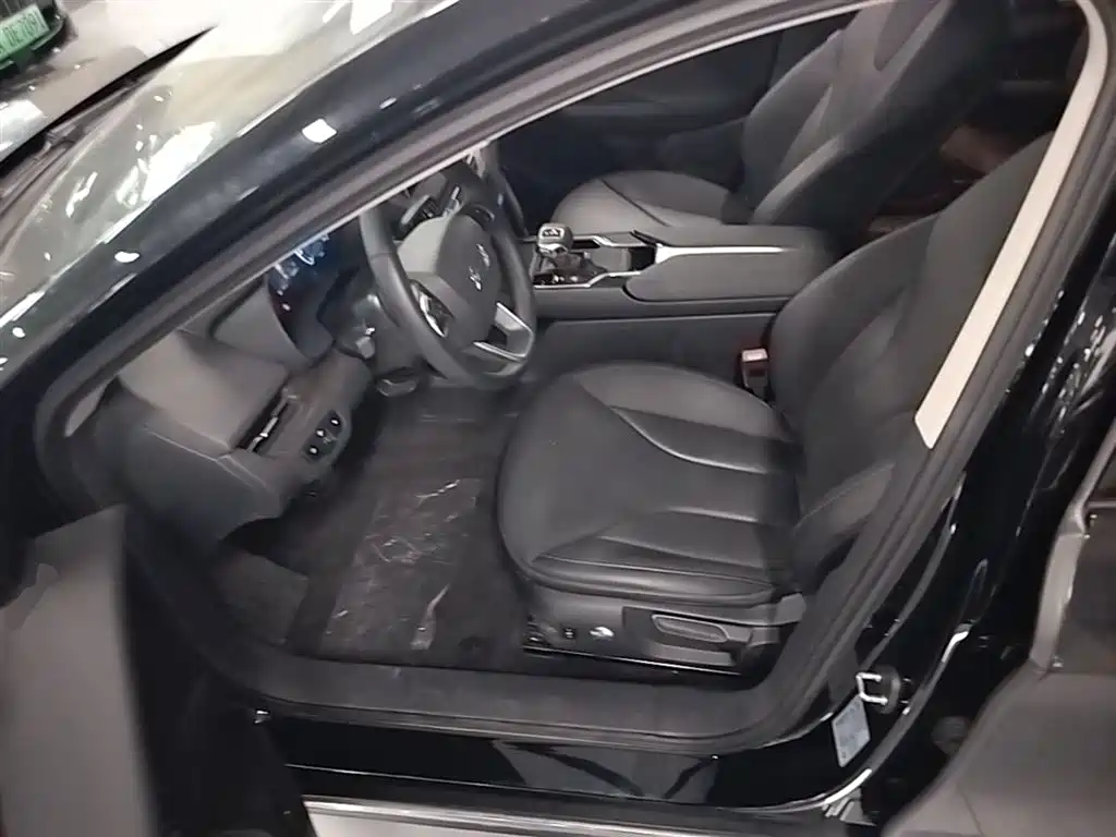 Hongqi E-QM5 2023 Facelift Basic Travel Edition фото 16