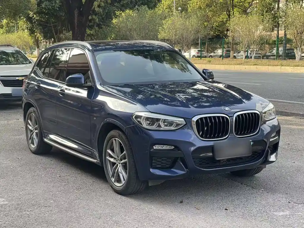 BMW X3 2018 2018 xDrive25i M Sport Package China V