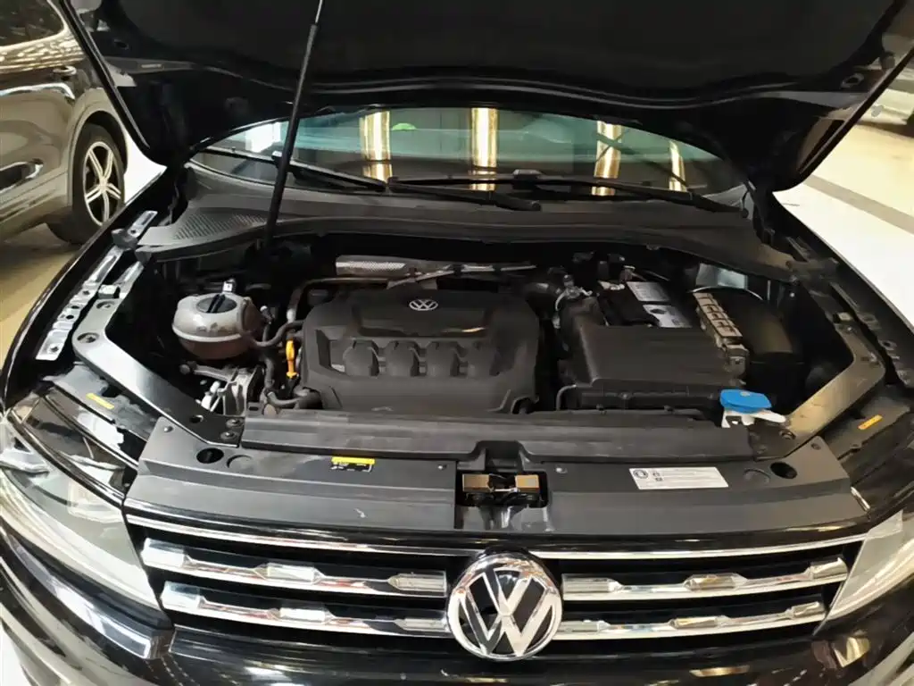 Volkswagen Tiguan L 2019 Facelift 330TSI Auto 2WD Panorama Comfort China VI фото 20