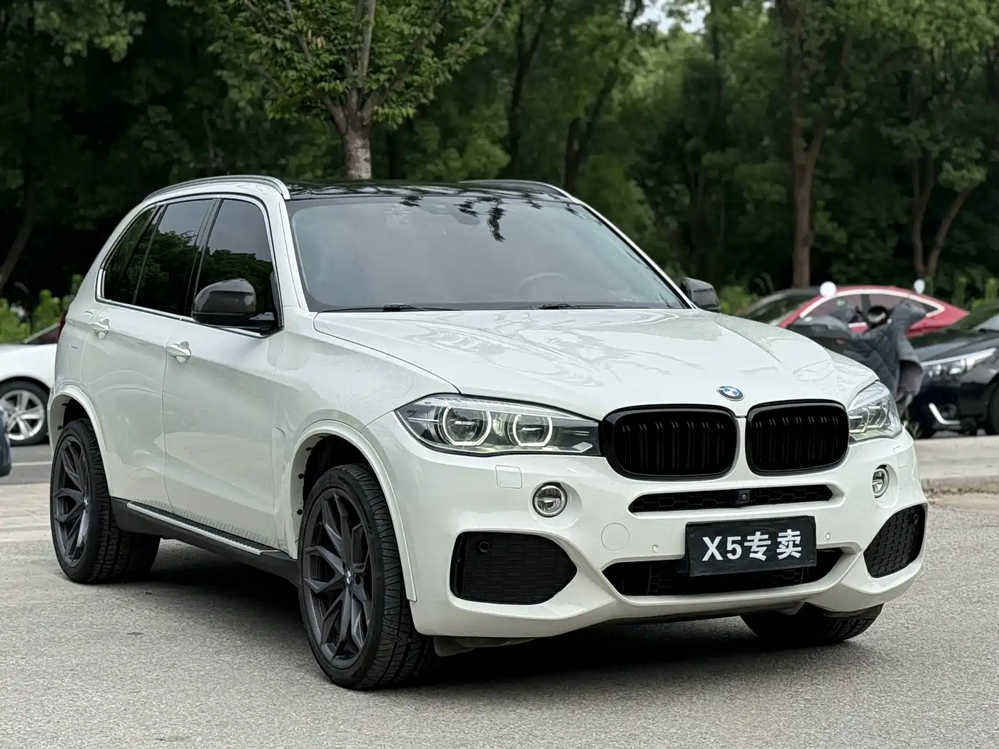 BMW X5 (Import) 2014 xDrive35i Leading фото 3