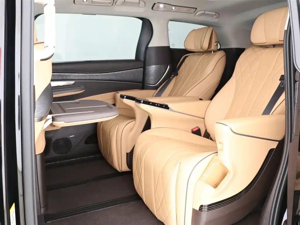 Denza D9 2024 DM-i 980 AWD Premium фото 3