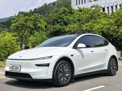 Tesla Model Y L