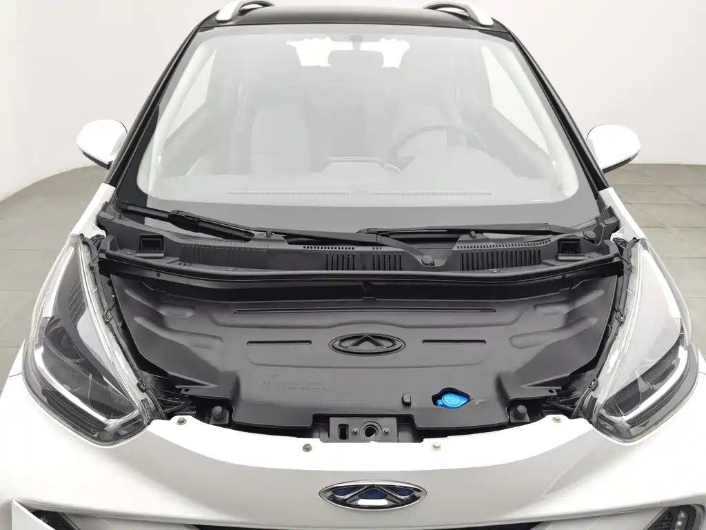 QQ New Energy Little Ant 2020 2021 150K Ant Fans Edition - Ant Shine (LFP Lithium)