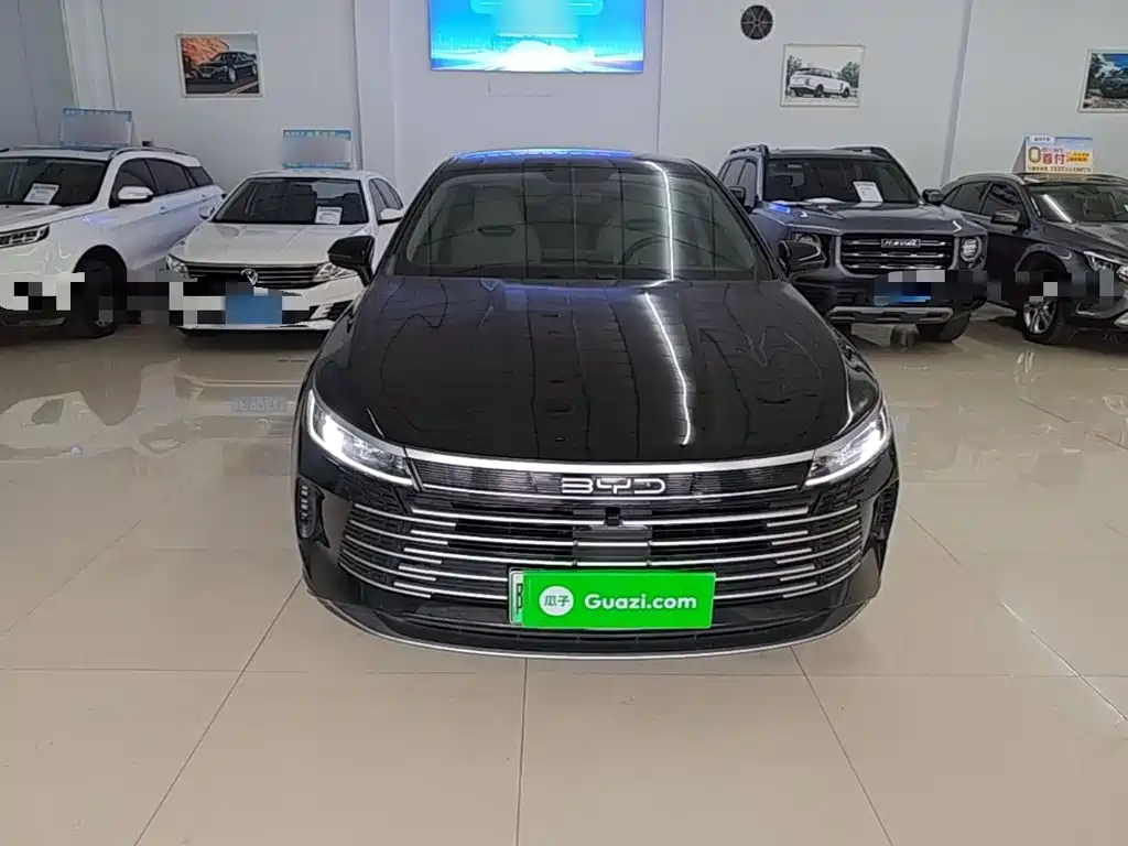 BYD Destroyer 05 2025 2024 Glory Edition DM-i 55KM Luxury