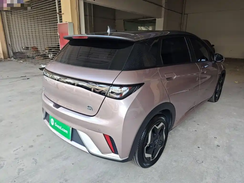 BYD Dolphin 2022 2021 Model 405km Fashion Edition