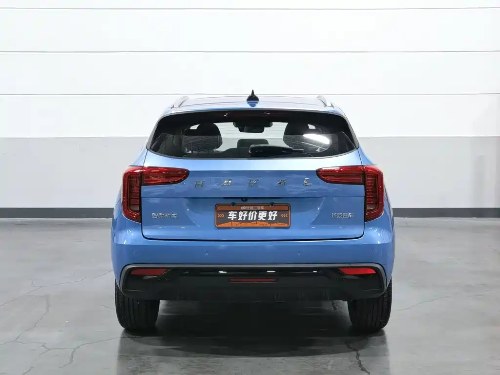 Haval First Love 2021 2021 1.5T Automatic Premium Edition