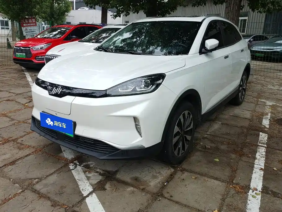 Weltmeister EX5 2019 EX5 Extra Innovation Edition 520