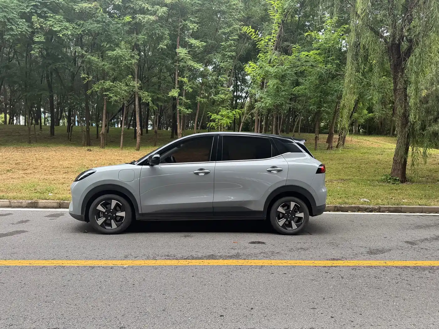 Wuling Motors Wuling Binguo PLUS 2026 2024 Model 330km 5-Seater