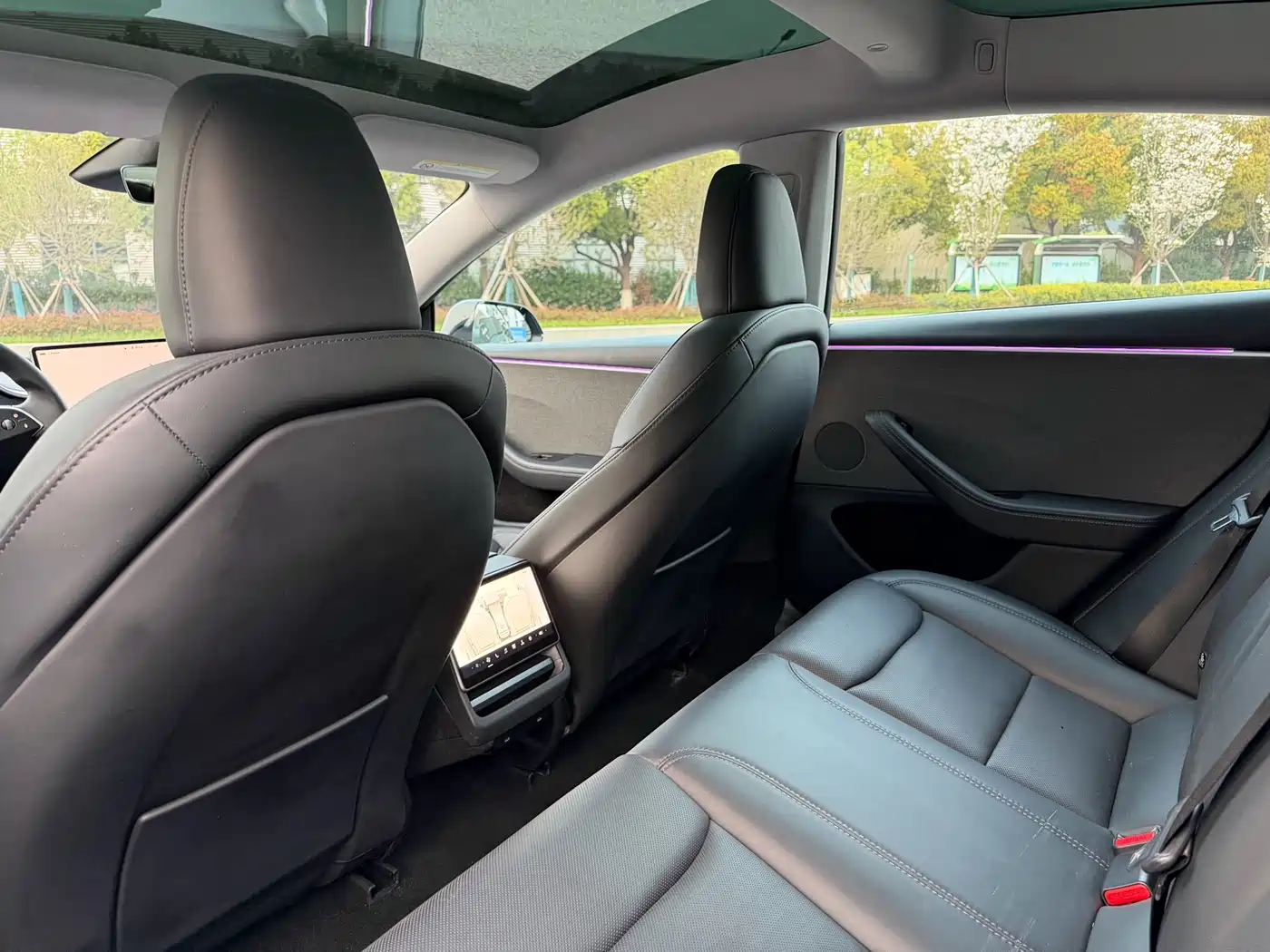 Tesla Model 3 2023 Rear-Wheel Drive фото 5