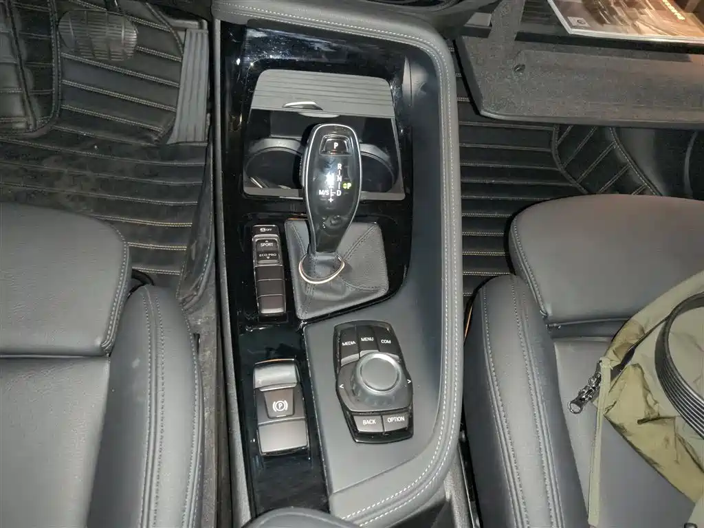 BMW X2 (Import) 2019 sDrive20i M Off-Road Package China VI фото 14