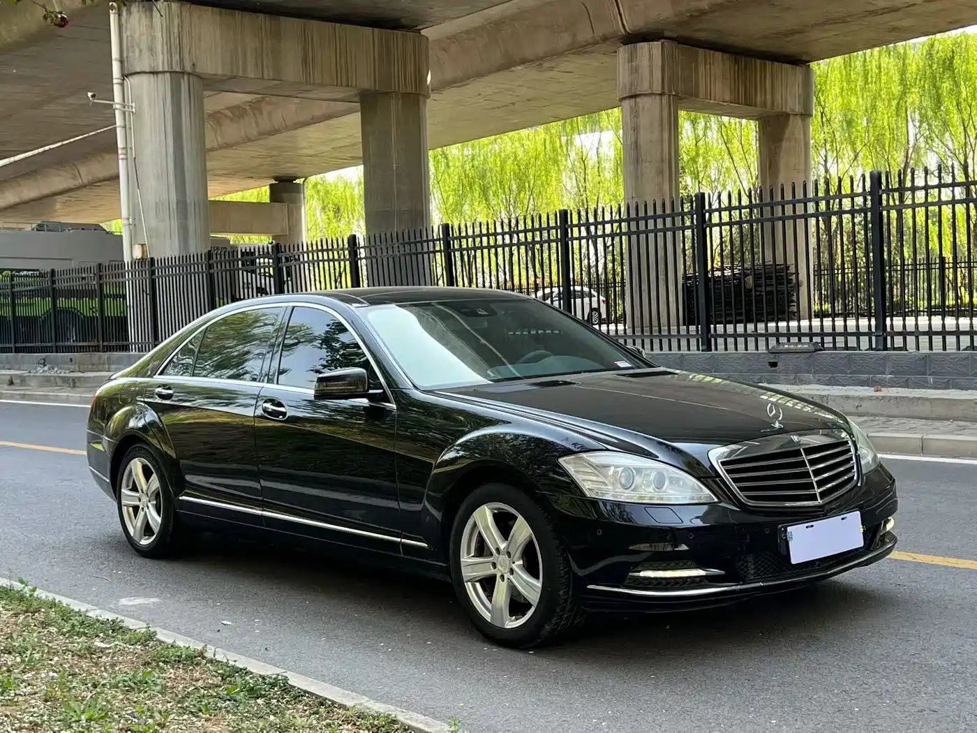 Mercedes-Benz S-Class 2010 S 300 L Luxury фото 3