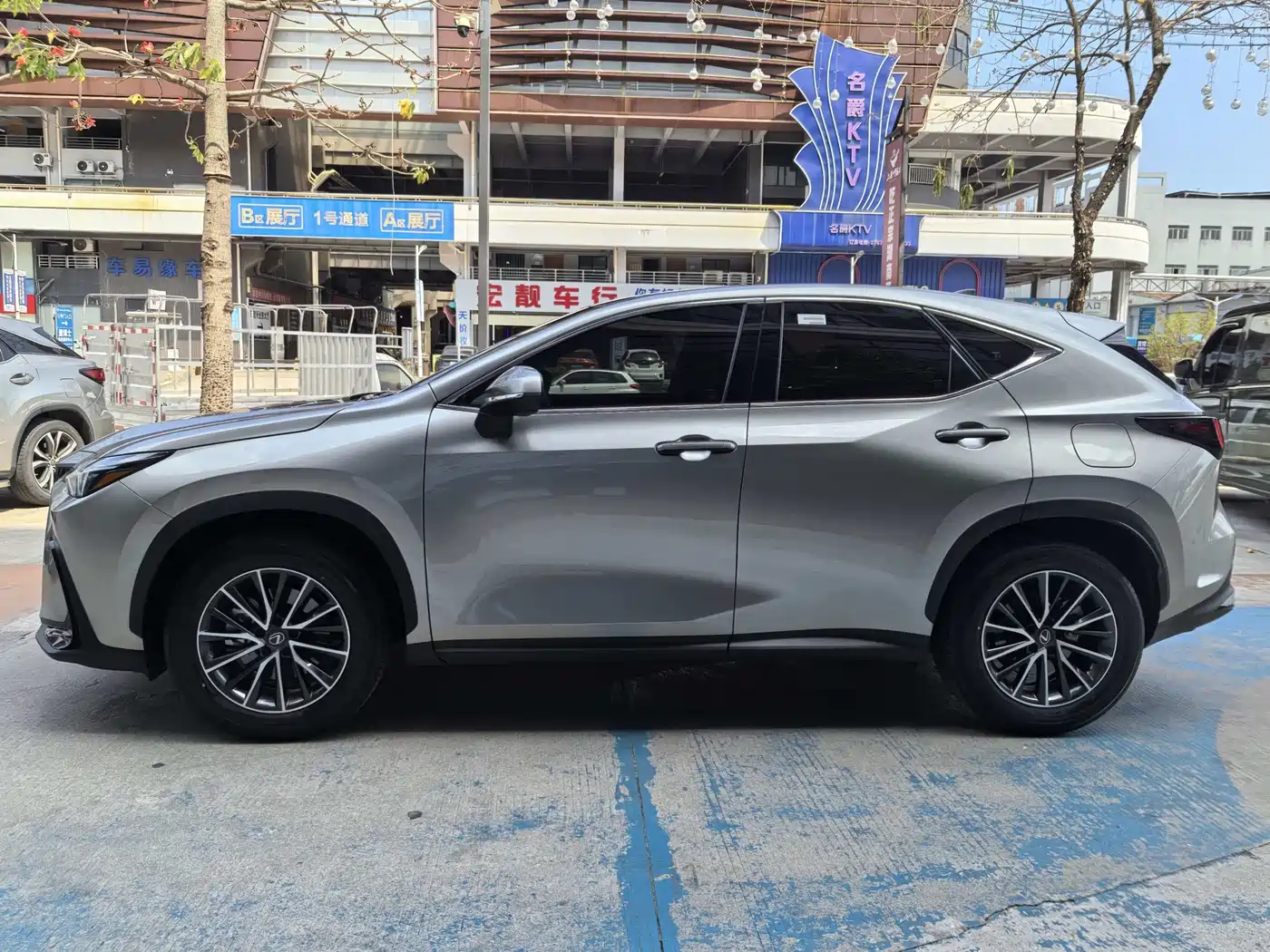 LEXUS NX