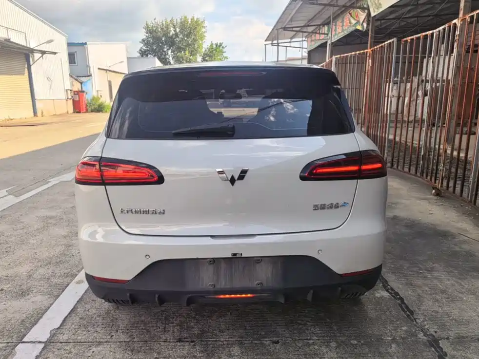 Wuling Motors Wuling Binguo PLUS 2024 2024 Model 330km 5-Seater