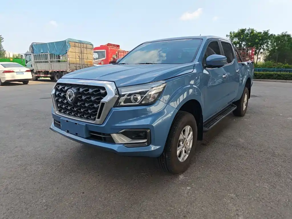 2025 Dongfeng Rich 6 Pro