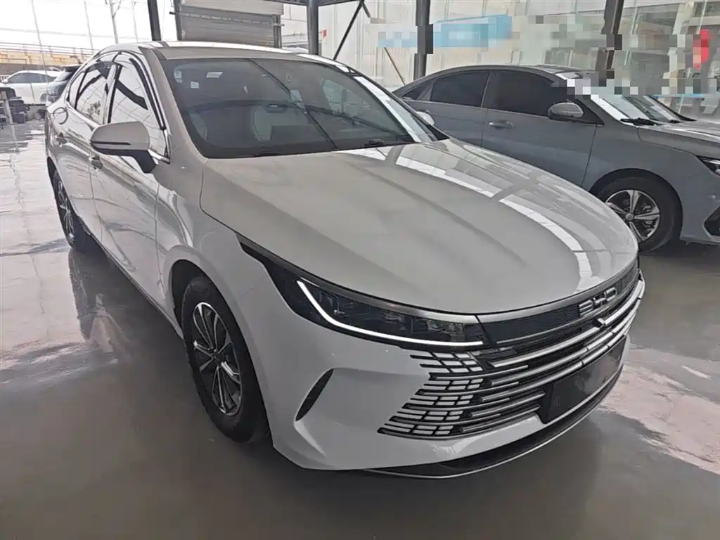 BYD Destroyer 05 2024 Glory Edition DM-i 55KM Luxury фото 4
