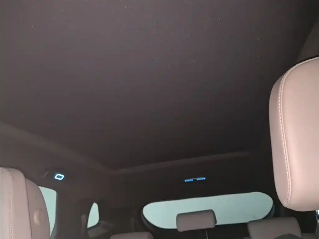 BYD Tang New Energy 2025 Smart Driving Edition DM-i 115KM Flagship фото 18