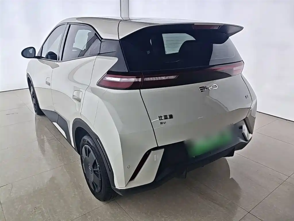 BYD Seagull 2024 Glory Edition 305km Vitality Edition фото 5