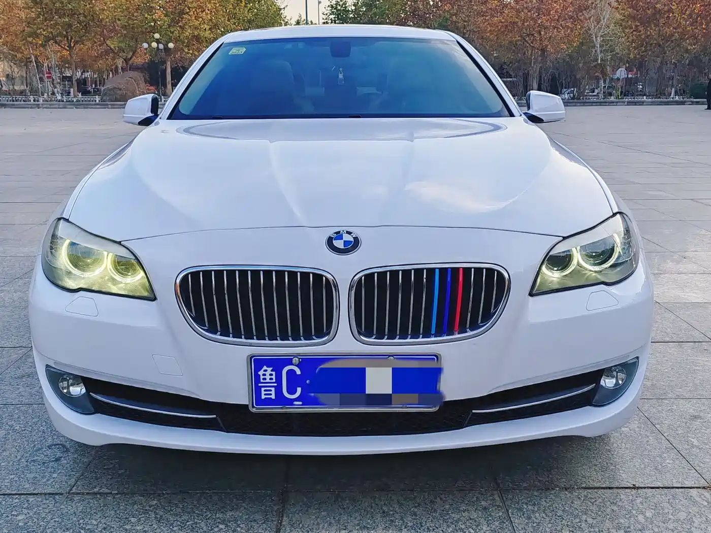 BMW 5 Series 2013 520Li Elegance фото 2
