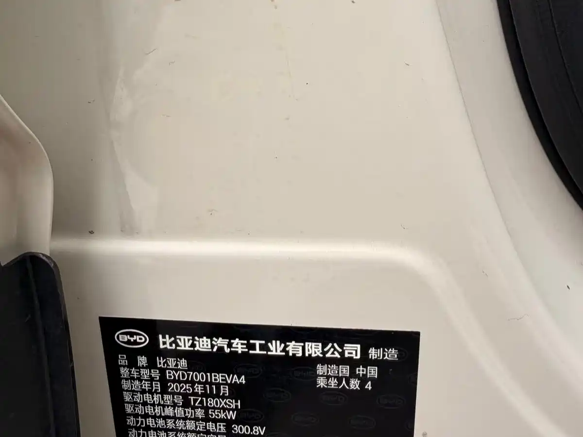 BYD Seagull 2026 2025 Smart Drive Edition 305km Vitality Version