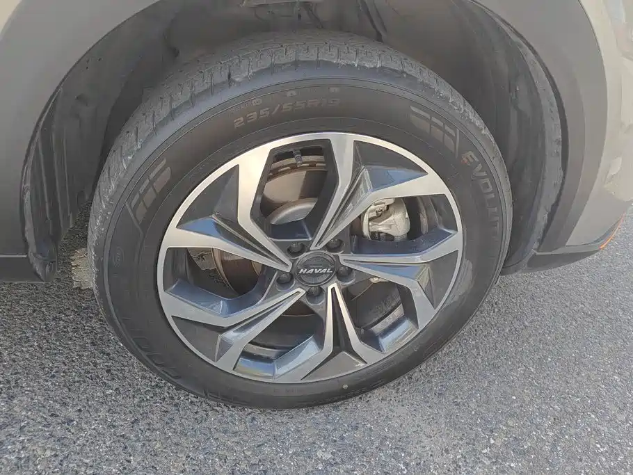 Haval Shenshou 2023 2022 1.5T Smart Enjoyment Edition