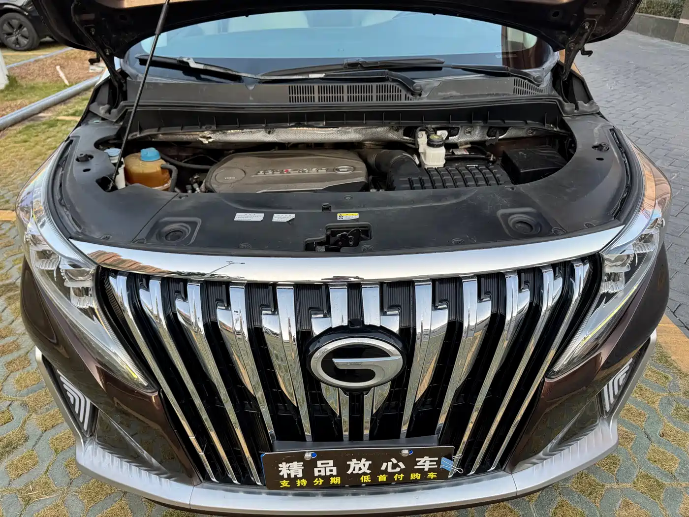 GAC Trumpchi Trumpchi M8 2018 320T Premium Edition фото 20