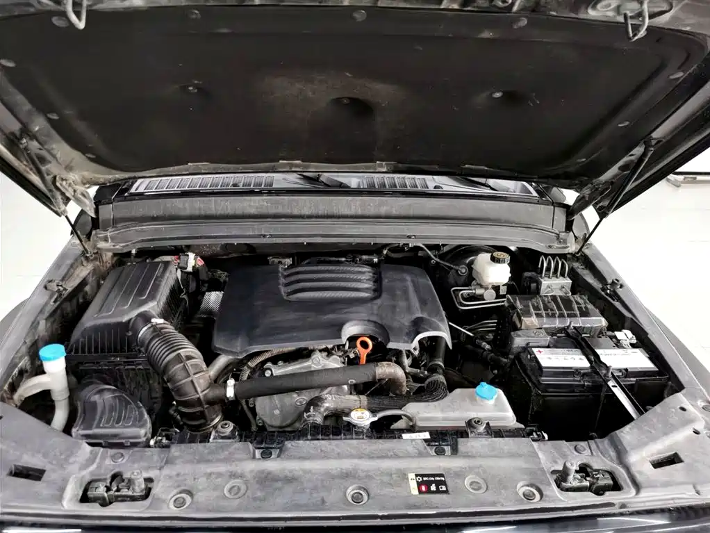 Tank 300 2023 Off-Road Edition 2.0T Challenger фото 5