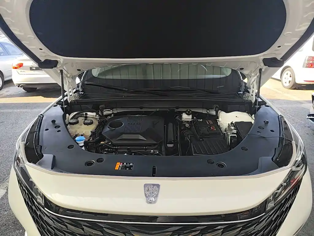 Roewe RX5 2023 2023 1.5T Superior Edition