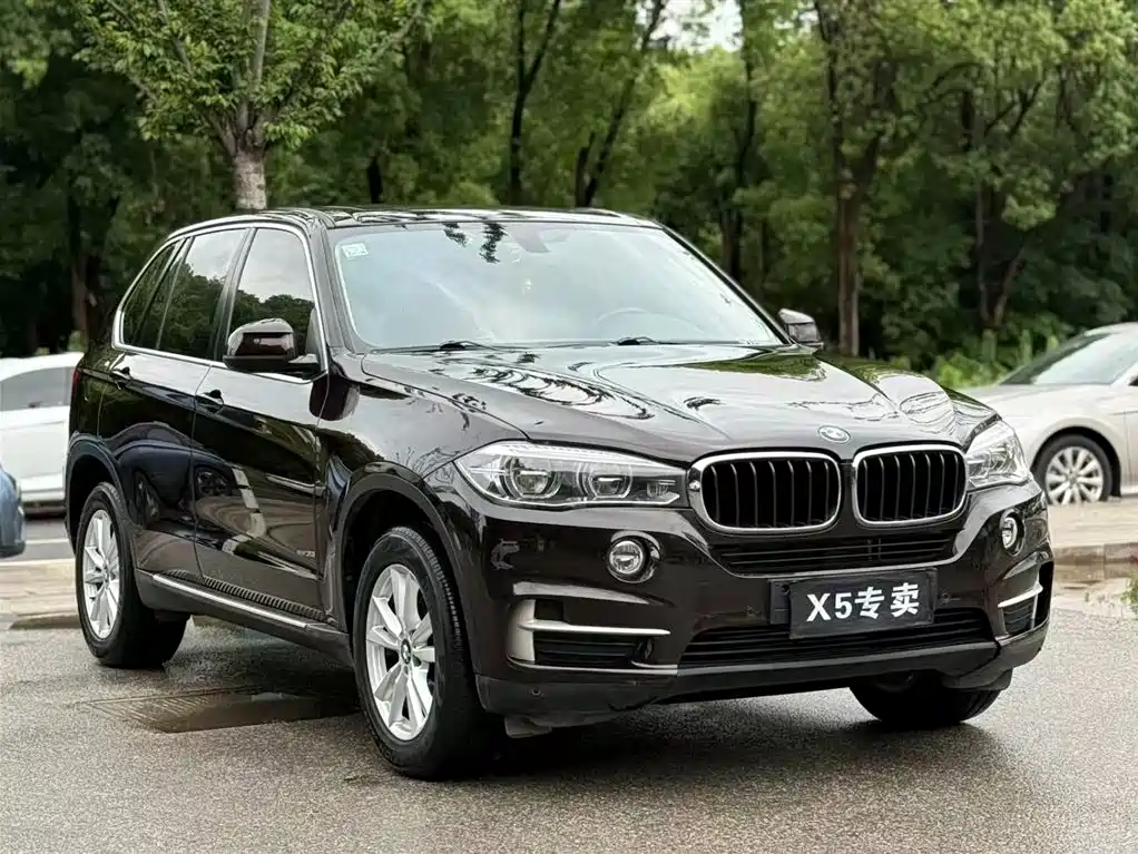 BMW X5 (Import) 2017 xDrive35i Elegance фото 3