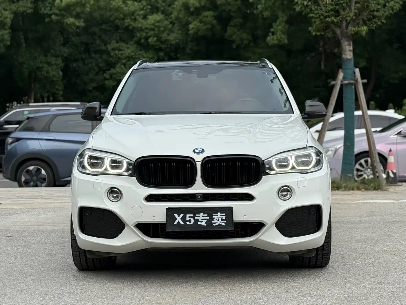 BMW X5 (Import) 2014 xDrive35i Leading фото 2